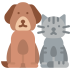 Animals & Pets